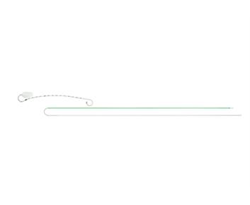 Integral Ureteral Stent