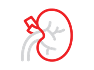 اورولوژی
