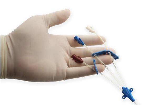 Standard Central Venous Catheters
