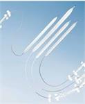Balloon Pump Catheters